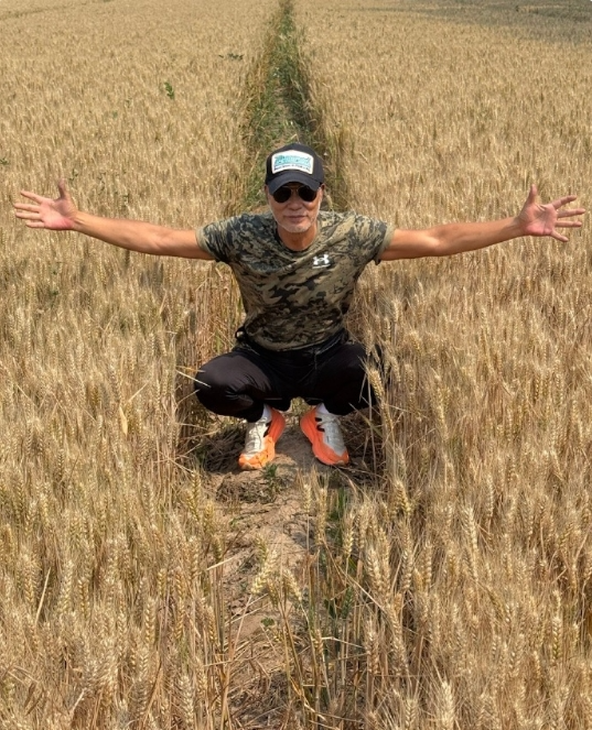 70岁任达华回山东老家收麦子 体验农活